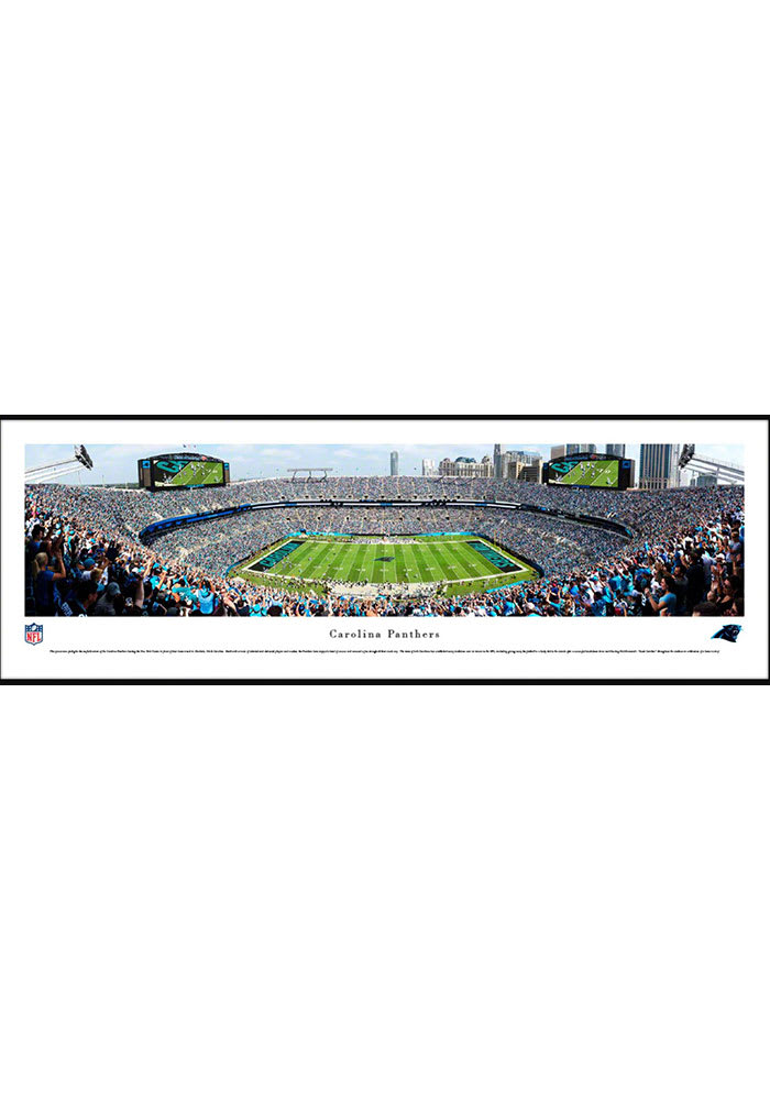 NFL - Carolina Panthers Ticket Runner 30x72 