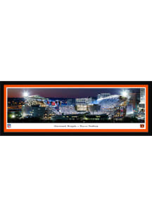 Blakeway Panoramas Cincinnati Bengals Home of the Bengals Select Framed Posters