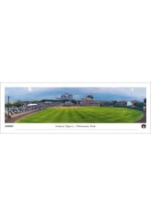 Blakeway Panoramas Auburn Tigers Baseball Tubed Unframed Poster