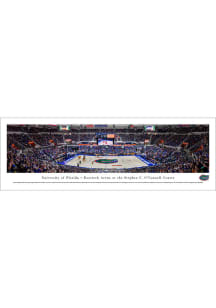 Blakeway Panoramas Florida Gators Basketball Tubed Unframed Poster
