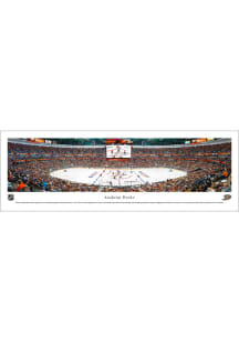 Blakeway Panoramas Anaheim Ducks Tubed Unframed Poster