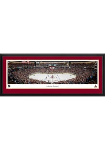 Blakeway Panoramas Arizona Coyotes Deluxe Framed Posters