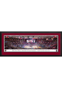 Blakeway Panoramas South Carolina Gamecocks 2024 Womens National Champions Deluxe Framed Posters