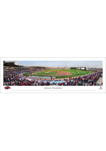Blakeway Panoramas Arkansas Razorbacks Baseball Tubed Design Unframed Poster