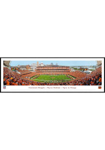 Blakeway Panoramas Cincinnati Bengals Orange Out 2024 Standard Framed Posters