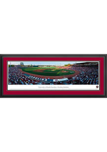 Blakeway Panoramas South Carolina Gamecocks Baseball Panorama Deluxe Framed Posters