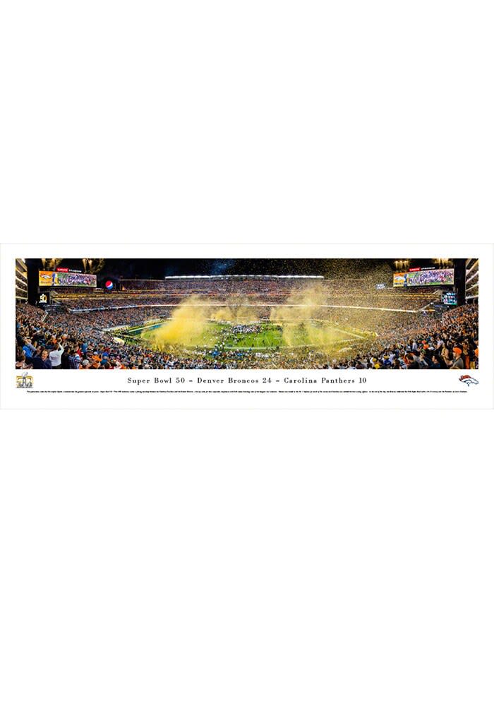 NFL - Carolina Panthers Ticket Runner 30x72 