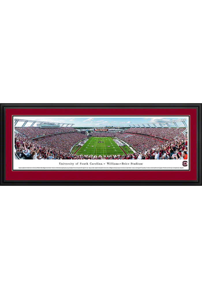 South Carolina Gamecocks End Zone Deluxe Framed Posters