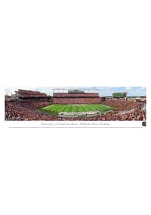 Blakeway Panoramas South Carolina Gamecocks Football Panorama Unframed Poster