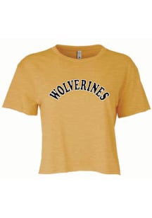 Michigan Wolverines Gold Summit Sportswear Wolveriens Arch Short Sleeve T-Shirt