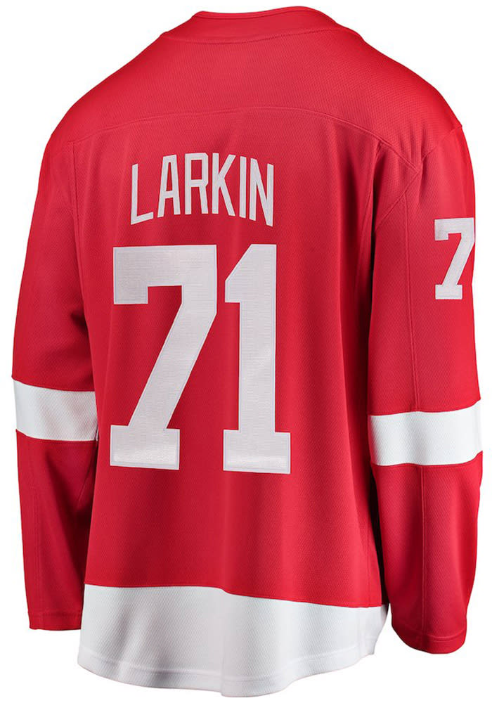 Dylan Larkin Detroit Red Wings Mens Red Breakaway Hockey Jersey