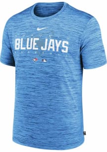 Nike Toronto Blue Jays Light Blue Wordmark Short Sleeve T Shirt