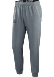Nike Cleveland Browns Mens Grey SIDELINE DRI-FIT PLAYER Pants