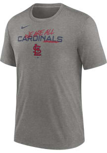 Nike St Louis Cardinals Grey We Are Team Short Sleeve Fashion T Shirt