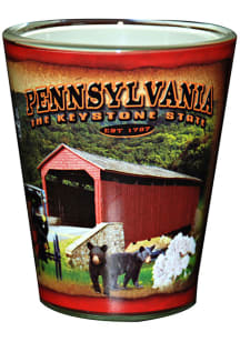 Pennsylvania Penn Shotglass Shot Glass