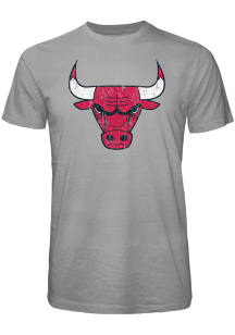 Chicago Bulls Grey PRIMARY Short Sleeve Fashion T Shirt