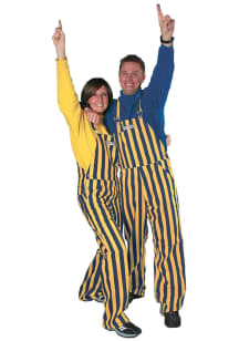 Michigan Wolverines Mens Navy Blue Striped Pants