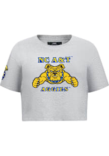 Pro Standard North Carolina A&T State University Womens Grey Classic Short Sleeve T-Shirt