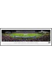 Georgia Southern Eagles Football Panorama Framed Posters
