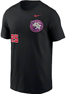 Nike TCU Horned Frogs Black Ranas Cornudas Baseball Short Sleeve T Shirt