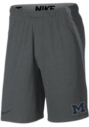 Nike Michigan Wolverines Mens Grey Hype Shorts