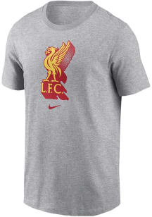 Nike Liverpool FC Grey Core Cotton Short Sleeve T Shirt