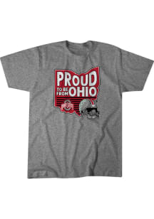BreakingT Ohio State Buckeyes Grey Proud to be from Ohio Short Sleeve T Shirt