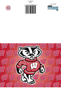 Wisconsin Badgers   Collectible