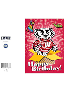 Wisconsin Badgers   Collectible