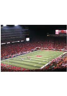 Nebraska Cornhuskers Stadium Postcard