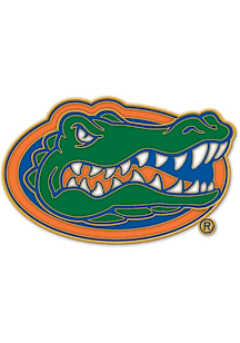 Florida Gators Souvenir Team Logo Pin - Green