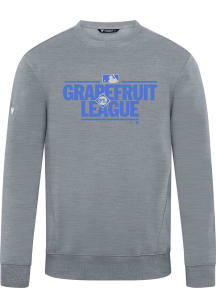 Levelwear Washington Nationals Mens Grey Zane Grapefruit League Full Front Long Sleeve Crew Sweats..