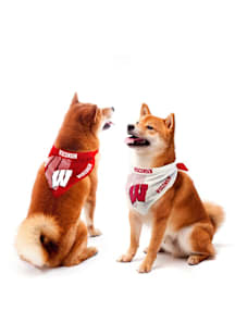 Wisconsin Badgers  Pet Bandana
