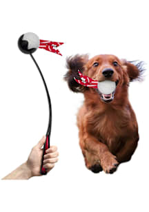 Wisconsin Badgers  Pet Toy