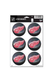 Detroit Red Wings 6 Pack Magnet