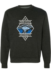 Uscape Penn State Nittany Lions Mens Charcoal Diamond Long Sleeve Fashion Sweatshirt