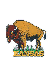 Kansas Buffalo Shape Magnet