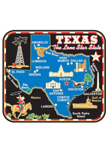 Texas Colored Map Magnet