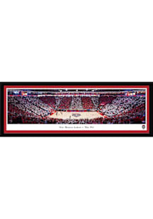 Blakeway Panoramas New Mexico Lobos The Pit Select Framed Posters