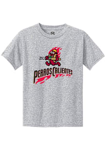 Summit Sportswear Akron RubberDucks Youth Grey Primary Copa Short Sleeve T-Shirt