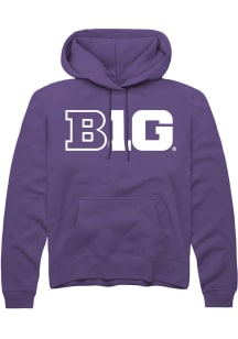 Mens Big Ten Purple Rally Primary Logo Hooded Sweatshirt