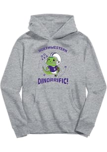 Toddler Northwestern Wildcats Grey Vive La Fete Dino-Riffic Long Sleeve Hooded Sweatshirt