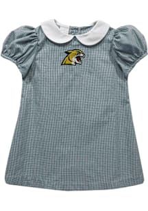Vive La Fete Northern Michigan Wildcats Baby Girls Green Gingham Collar Short Sleeve Dress