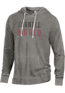 Alternative Apparel Cornell Big Red Mens Grey School Yard Fashion Hood