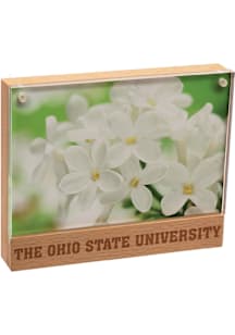 Ohio State Buckeyes Beachwood Photo Frame Picture Frame - Red