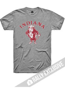 Indiana Hoosiers Grey Rally Arch Vault Mascot Short Sleeve T Shirt