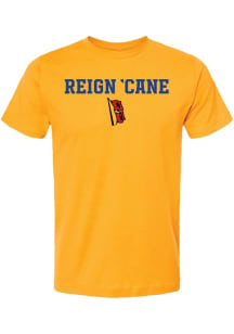 Tulsa Golden Hurricane Gold Summit Sportswear Script Logo Short Sleeve T Shirt