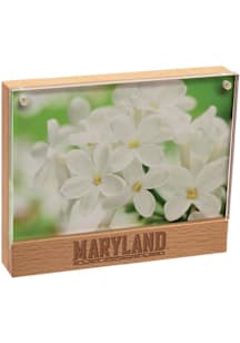 Maryland Terrapins Beachwood Photo Frame Picture Frame - Red