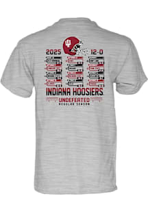 Indiana Hoosiers Grey Football 2025 Undefeated Regular Season Short Sleeve T Shirt