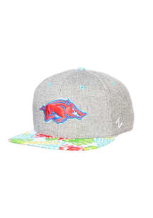 Zephyr Arkansas Razorbacks Grey Punch Bowl Mens Snapback Hat
